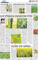 13_BBSR