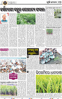 19_bbsr