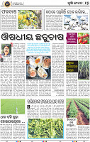 17_BBSR