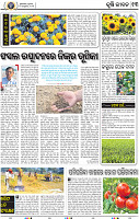 13_BBSR