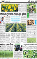 13_BBSR