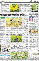 11_BBSR (A)