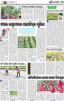 15_BBSR