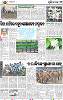 13_BBSR
