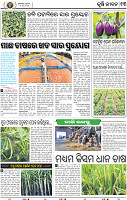 13_BBSR