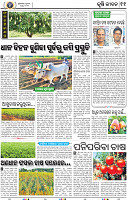 13_BBSR