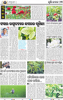 15_BBSR