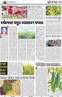 15_BBSR
