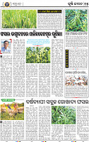 15_BBSR