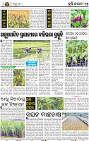15_BBSR