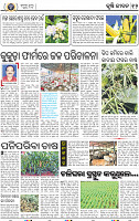 12_BBSR