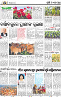 15_BBSR