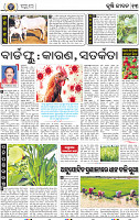 13_BBSR