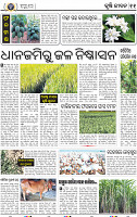 11_BBSR