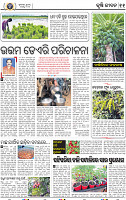 11_BBSR