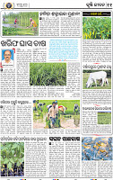13 BBSR