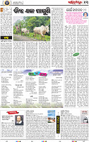 13 BBSR