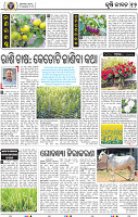 14_BBSR