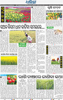 16(08_BBSR-B)