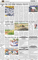 Page 8 - Nayagarh