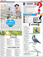 Page 5-6