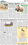 11_bbsr_b