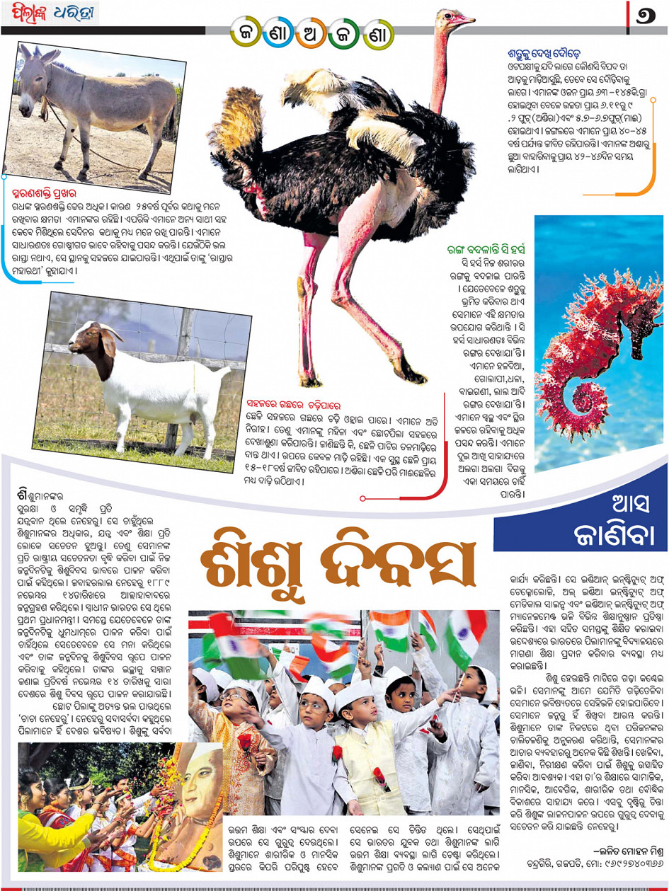 Pilanka Dharitri Page: 6 - Online Odia ePaper | Today Newspaper | Latest  news from Odisha, India and world
