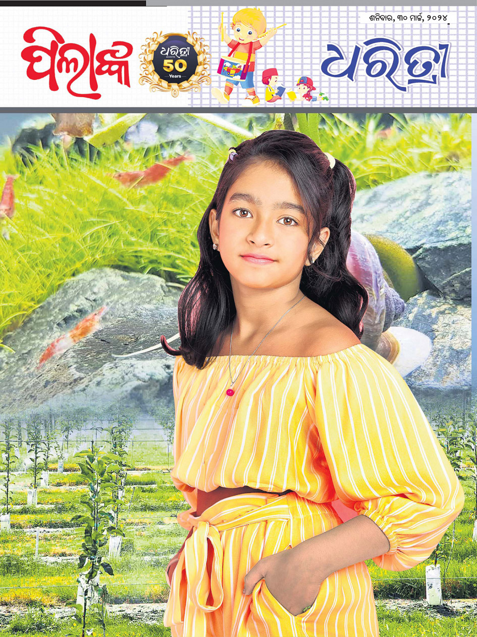 Pilanka dharitri online odia epaper today newspaper latest news
