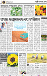 15_BBSR