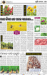 19_BBSR