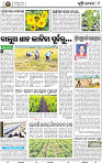 11_BBSR (A)