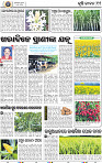 11_BBSR