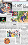 12_BBSR