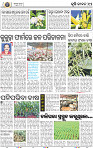 12_BBSR