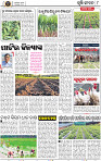 Set B Page 8